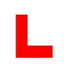 Driving instructor in  Lee