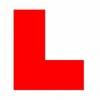Driving instructor in  Celyn