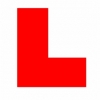 Driving instructor in  Lewis