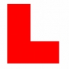 Driving instructor in  Ruth