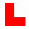 Driving instructor in  Hamilton