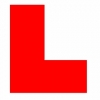 Driving instructor in  Dev